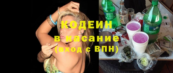 меф Вяземский