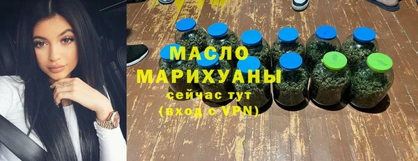 эйфоретик Гусь-Хрустальный