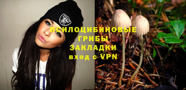 меф Вяземский