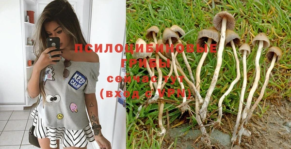 МДПВ Гусиноозёрск